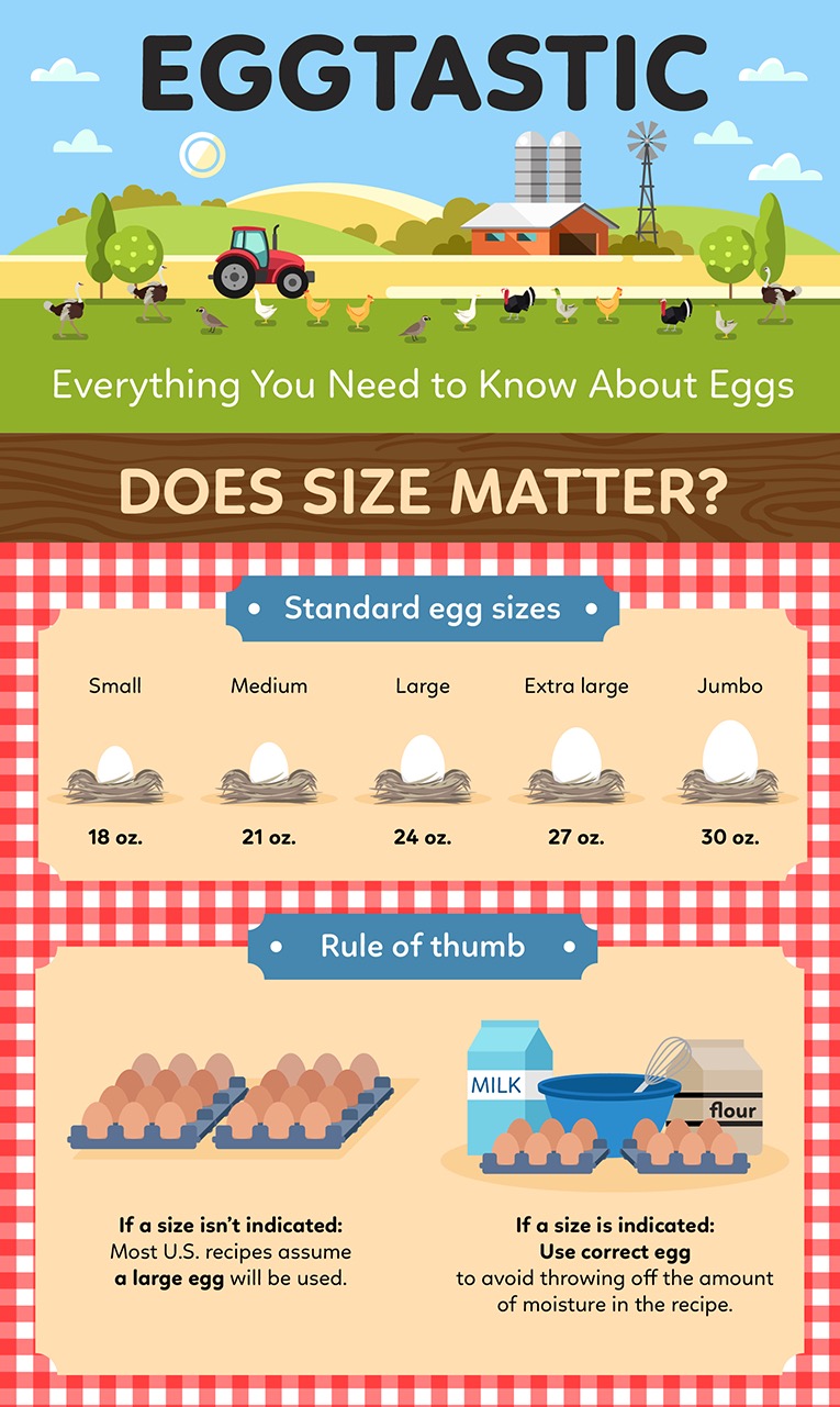 Everything you need to know about Eggs